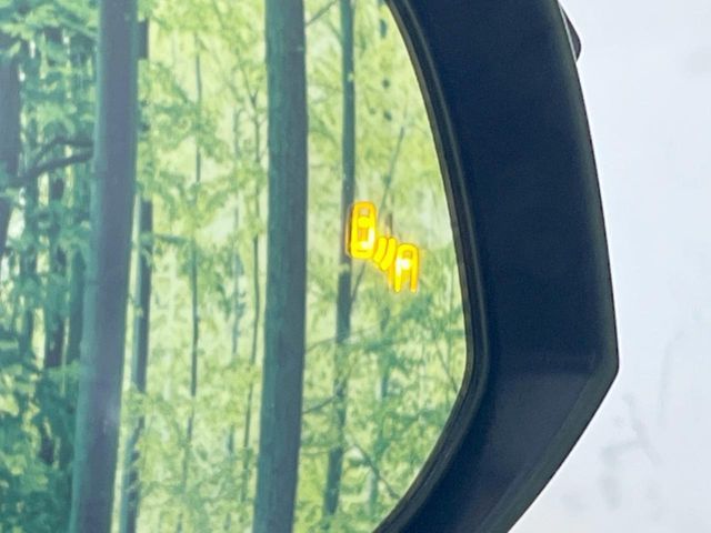 TOYOTA HARRIER HYBRID 2023 Image 31