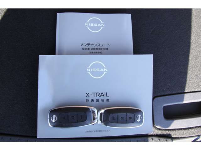 NISSAN X-TRAIL HYBRID 4WD 2023 Image 31