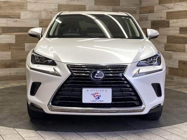 TOYOTA LEXUS NX300H 2019 Image 31