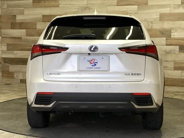 TOYOTA LEXUS NX300H 2019 Image 31