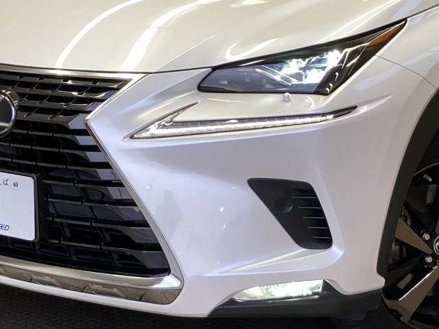 TOYOTA LEXUS NX300H 2019 Image 31