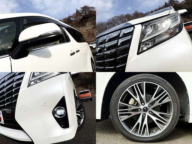 TOYOTA ALPHARD HYBRID 4WD 2016 Image 31