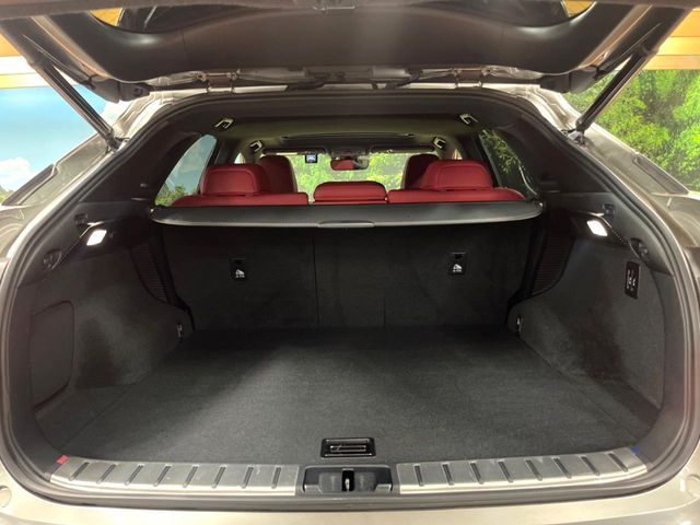 TOYOTA LEXUS RX450H 2WD 2021 Image 31