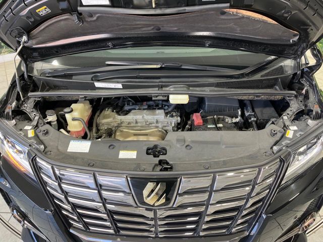 TOYOTA ALPHARD 2017 Image 31
