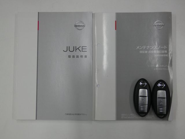 NISSAN JUKE 2014 Image 31