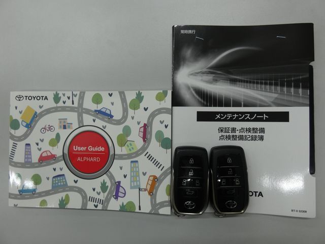 TOYOTA ALPHARD HYBRID 2023 Image 31