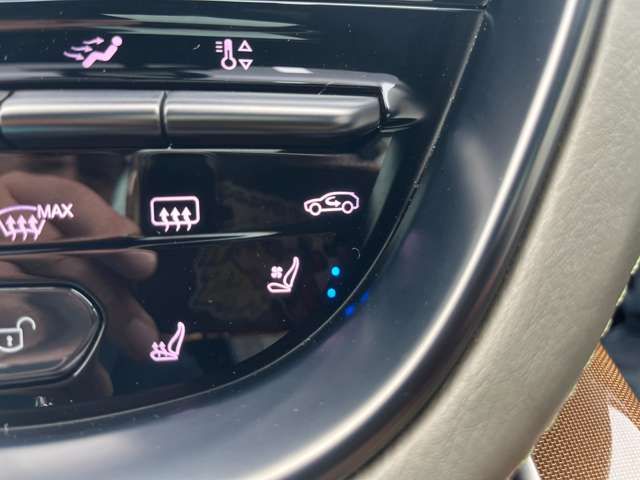 ASTON MARTIN SUV 2021 Image 31