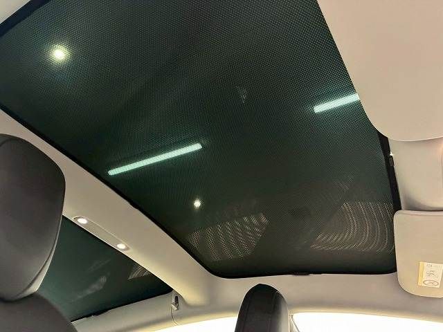 TESLA MODEL 3 2021 Image 31