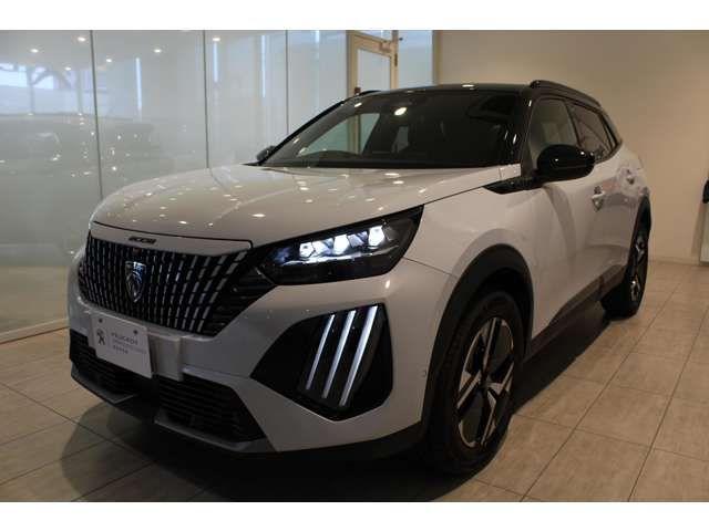 PEUGEOT 2008 2025 Image 31