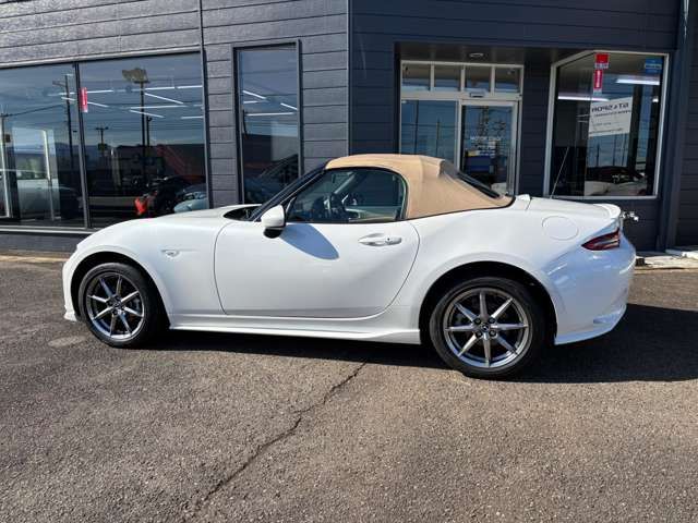 MAZDA ROADSTER 2024 Image 31