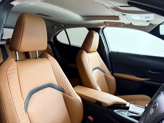 TOYOTA LEXUS UX200 2021 Image 31