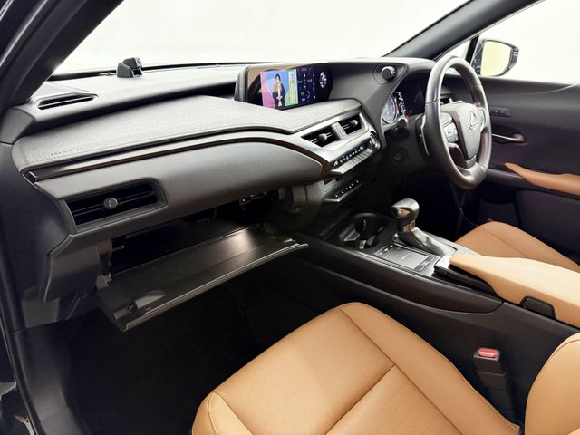 TOYOTA LEXUS UX200 2021 Image 31