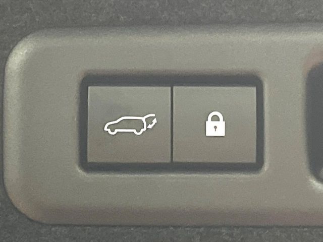 TOYOTA LEXUS RX450H 2WD 2021 Image 31