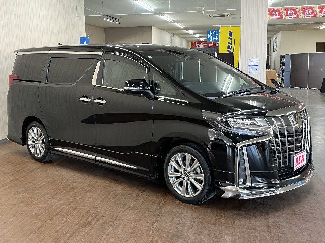 TOYOTA ALPHARD 2021 Image 31