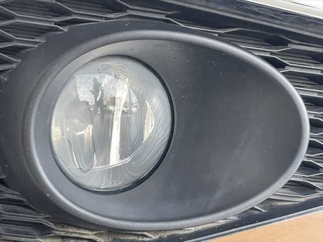 NISSAN ELGRAND 2019 Image 31