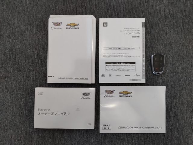 CADILLAC ESCALADE 2017 Image 31