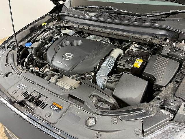 MAZDA CX-8 2023 Image 31