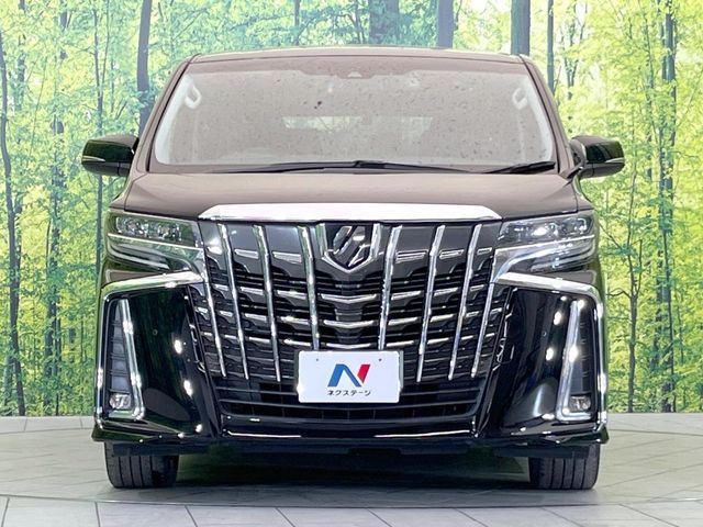 TOYOTA ALPHARD 2019 Image 31