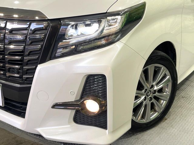 TOYOTA ALPHARD 2017 Image 31