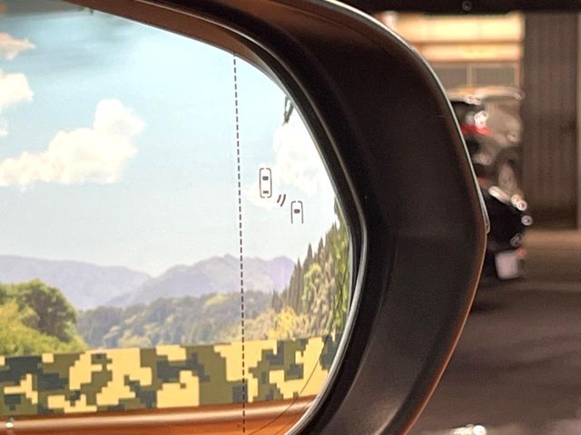 TOYOTA LEXUS NX300 2021 Image 31