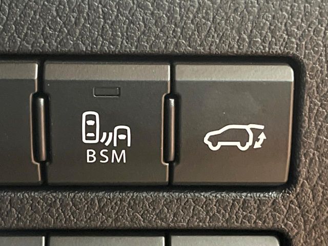 TOYOTA LEXUS NX300 2021 Image 31