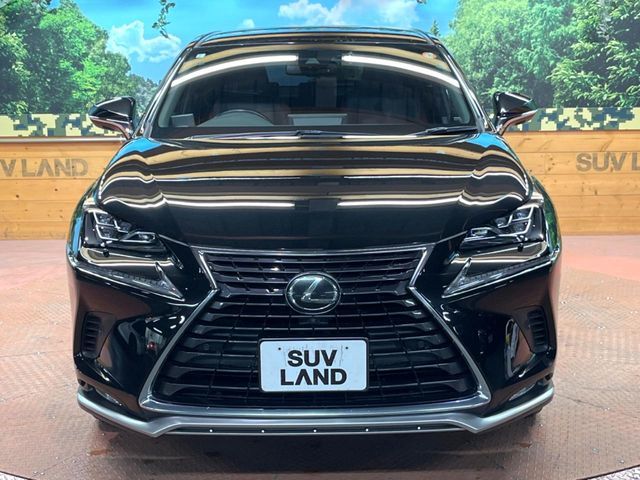 TOYOTA LEXUS NX300 2021 Image 31