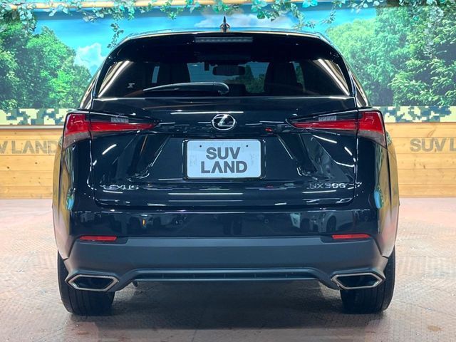 TOYOTA LEXUS NX300 2021 Image 31