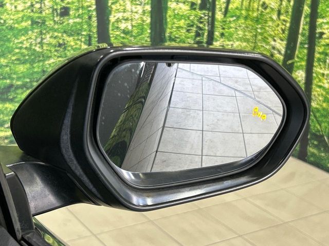 TOYOTA C-HR 2017 Image 31