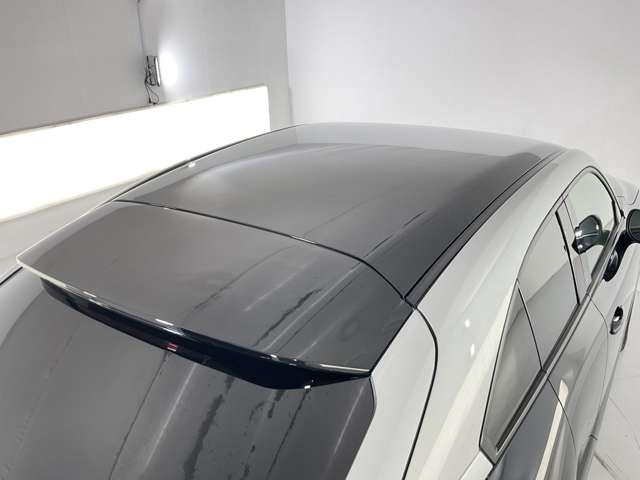 MAZDA MX-30 2022 Image 31