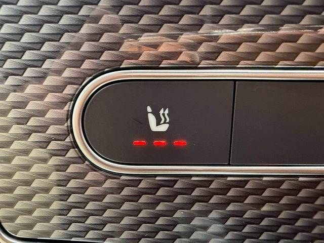 MERCEDES BENZ A CLAS 2019 Image 31