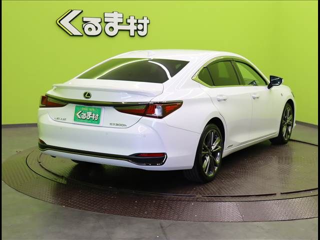 TOYOTA LEXUS ES300H 2019 Image 31