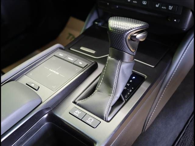 TOYOTA LEXUS ES300H 2019 Image 31