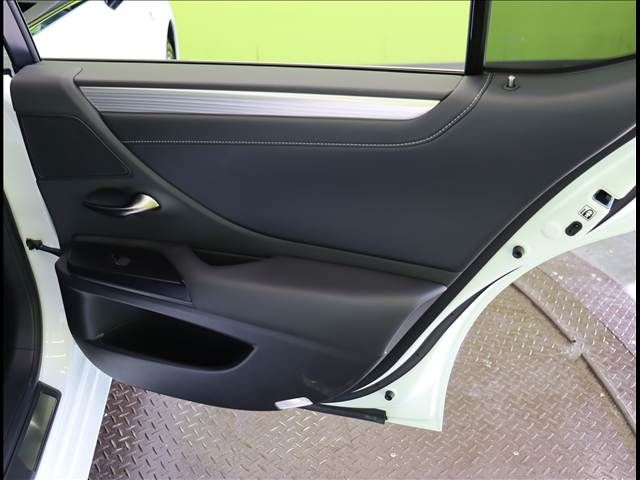 TOYOTA LEXUS ES300H 2019 Image 31