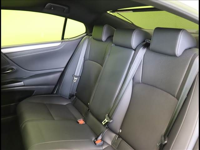 TOYOTA LEXUS ES300H 2019 Image 31