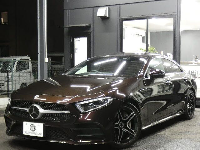MERCEDES BENZ CLS CL 2019 Image 31