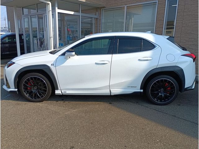 TOYOTA LEXUS UX250H AWD 2019 Image 31