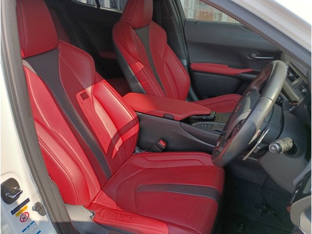 TOYOTA LEXUS UX250H AWD 2019 Image 31