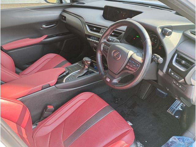 TOYOTA LEXUS UX250H AWD 2019 Image 31