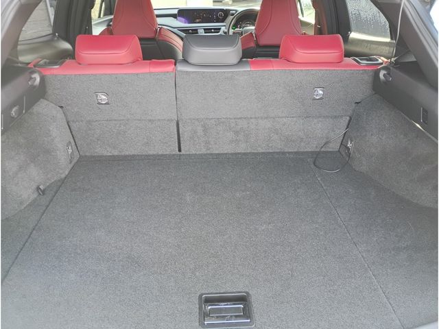 TOYOTA LEXUS UX250H AWD 2019 Image 31