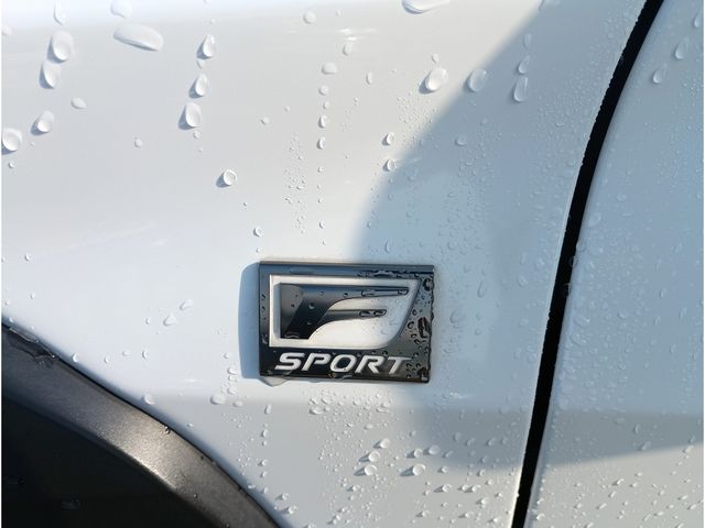 TOYOTA LEXUS UX250H AWD 2019 Image 31