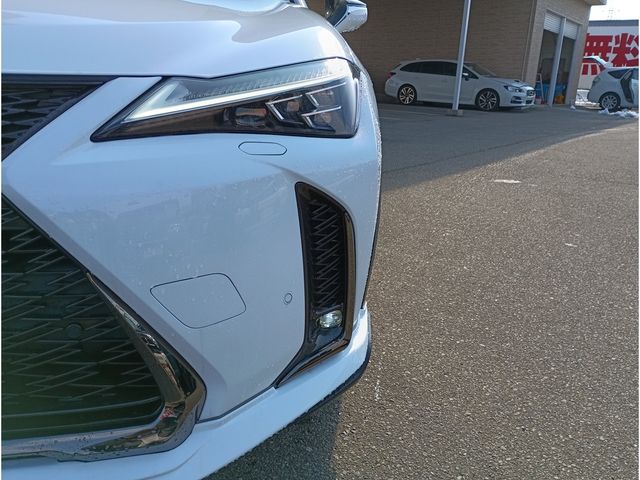 TOYOTA LEXUS UX250H AWD 2019 Image 31