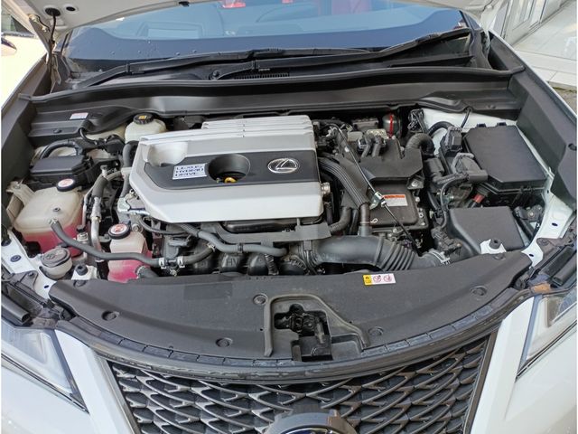 TOYOTA LEXUS UX250H AWD 2019 Image 31