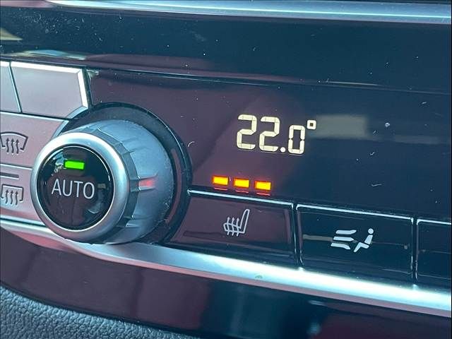 BMW X4 2020 Image 31