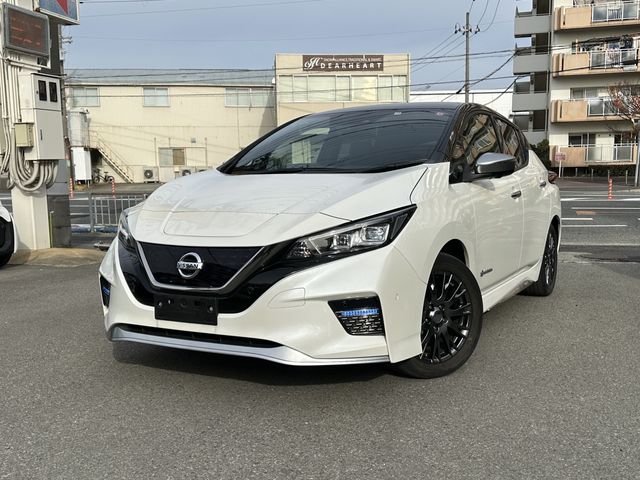 NISSAN LEAF 2019 Image 31