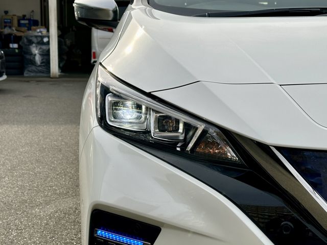 NISSAN LEAF 2019 Image 31