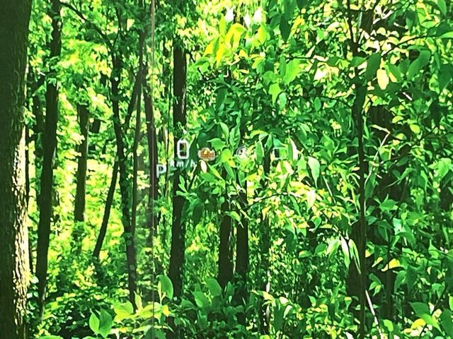 SUZUKI SPACIA CUSTOM 2019 Image 31