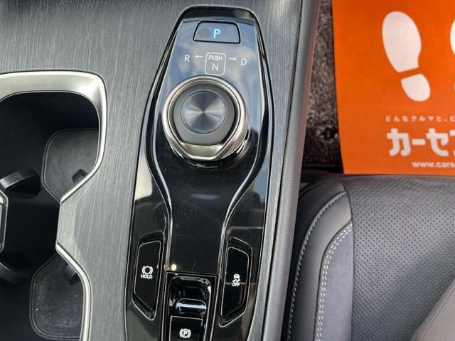 TOYOTA LEXUS RZ300E 2024 Image 31