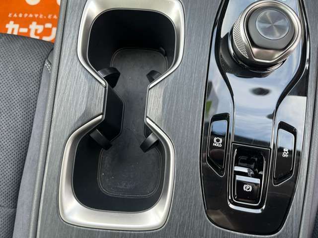 TOYOTA LEXUS RZ300E 2024 Image 31