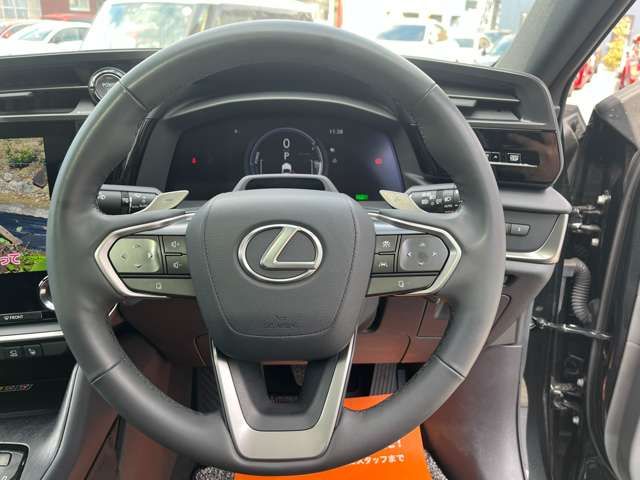 TOYOTA LEXUS RZ300E 2024 Image 31