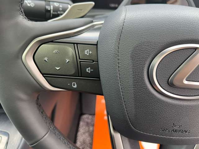 TOYOTA LEXUS RZ300E 2024 Image 31